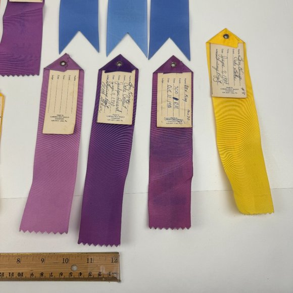 16 Vtg 80s Boy Cub Scouts America Used Ribbons Award Pinewood Derby Lancaster PA - Picture 10 of 11